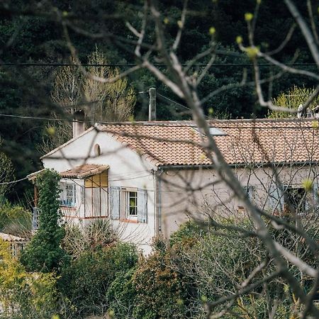 Maison D'Hotes Eco-Responsable Avec Piscine 6X12M Châteaudouble Eksteriør billede