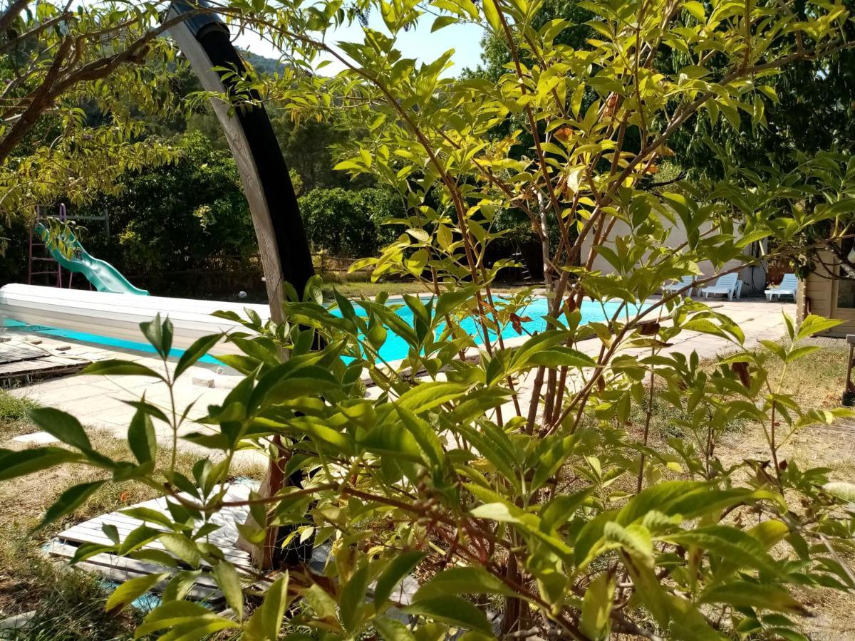 Maison D'Hotes Eco-Responsable Avec Piscine 6X12M Châteaudouble Eksteriør billede
