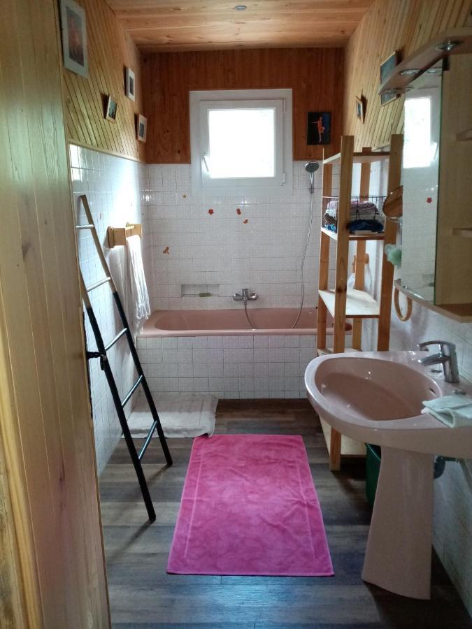 Maison D'Hotes Eco-Responsable Avec Piscine 6X12M Châteaudouble Eksteriør billede